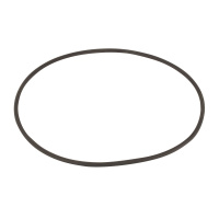 Уплотнительное кольцо Aquaviva корпуса насоса SD 2011076