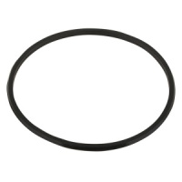 Прокладка-кольцо 6-ти поз. вентиля (1 1/2" ) для уплотнения коллектора фильтра V350-V650 Emaux MPV-01W-8 (02011001)