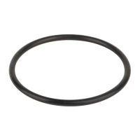 Уплотнительное кольцо соединительной муфты насоса Aquaviva VWS/STP 25-120
