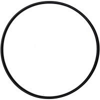 Резиновая прокладка под 6-позиционный кран фильтров Aquaviva V350 - V700 (02011134)